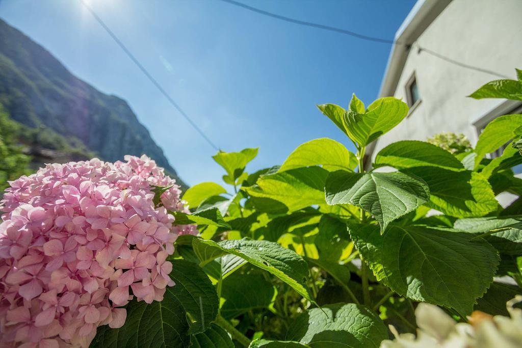Farm Stay Ferjancic فيبافا المظهر الخارجي الصورة
